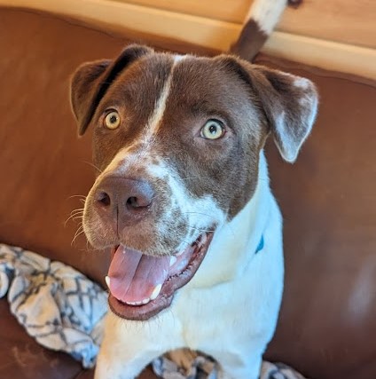 Finn Head Shot