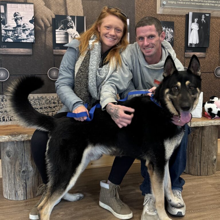 Champ Adoption S