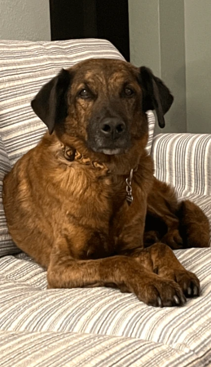 Sammie2