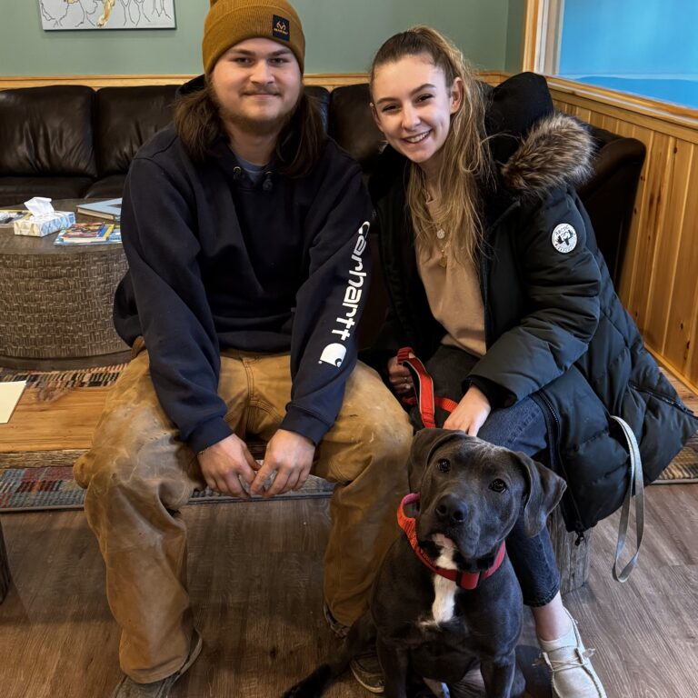 Brownie's Adoption 01 22 2025