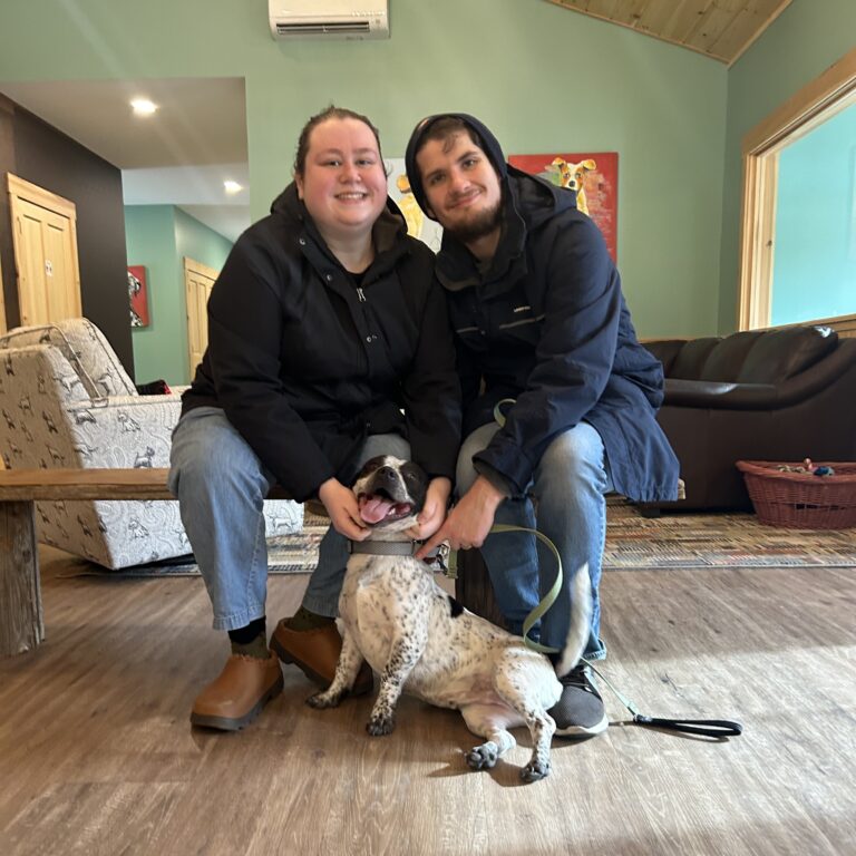 Dude Adoption