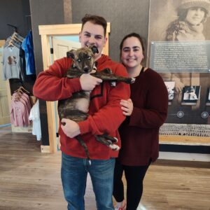 Storm Adoption