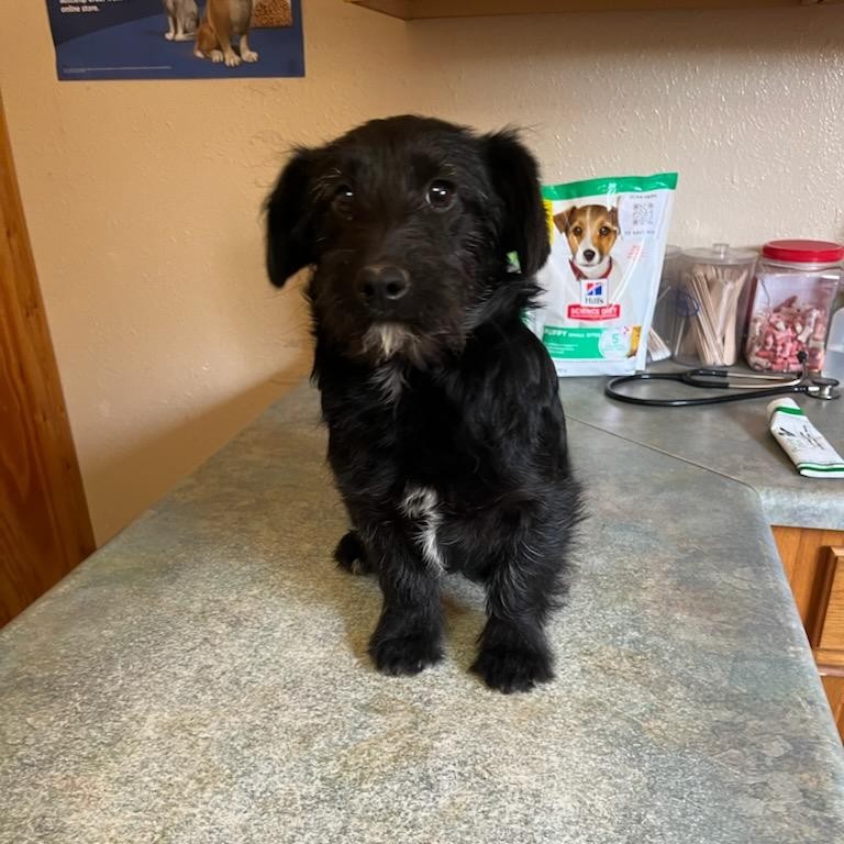 Finley