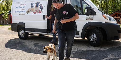 Donate_Transport_510x255_1