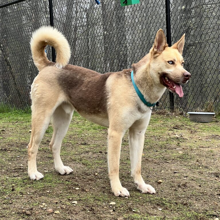 Gus 5