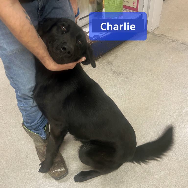 Charlie