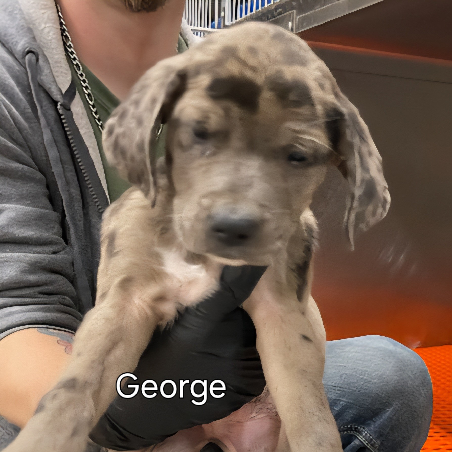 George
