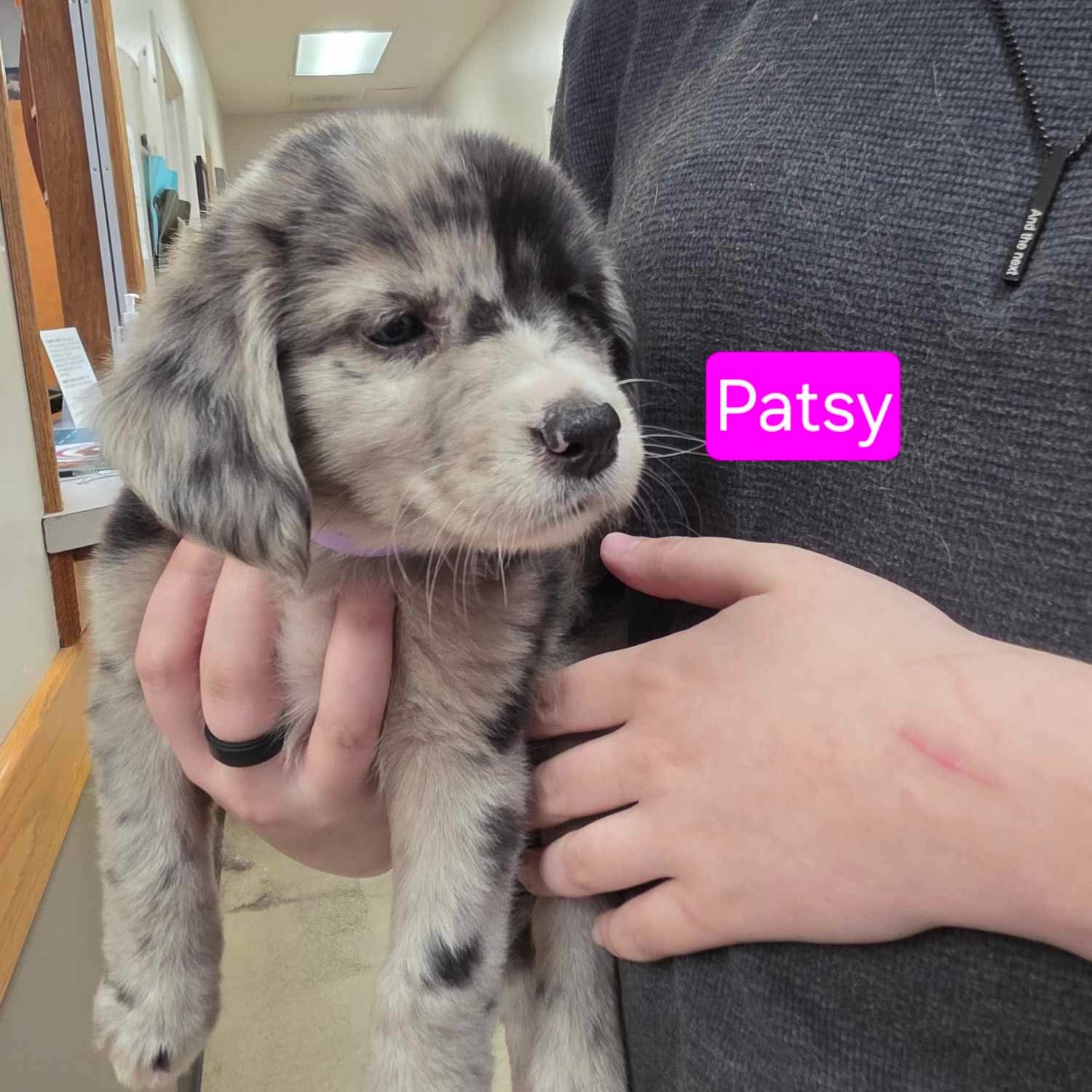 Patsy