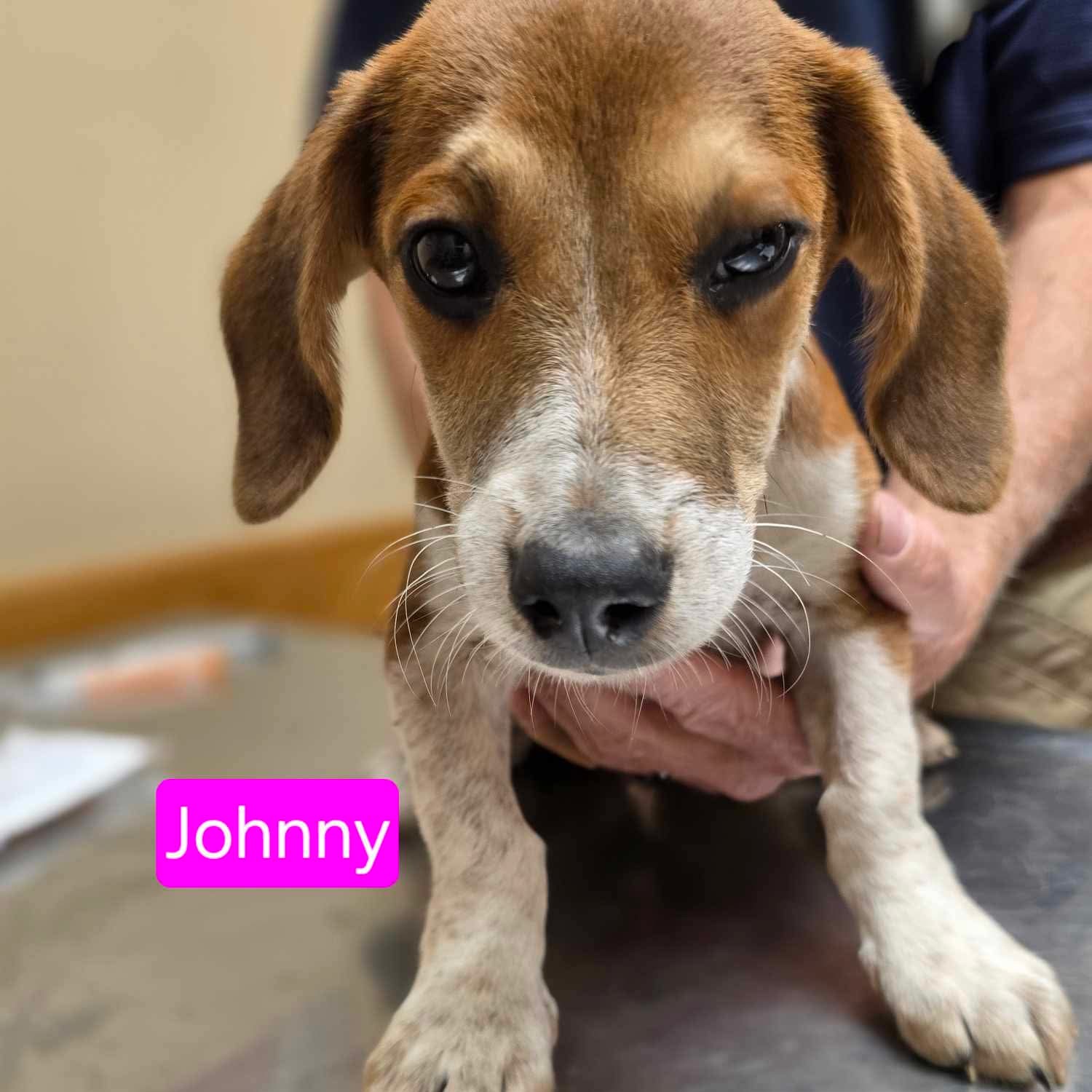 Johnny