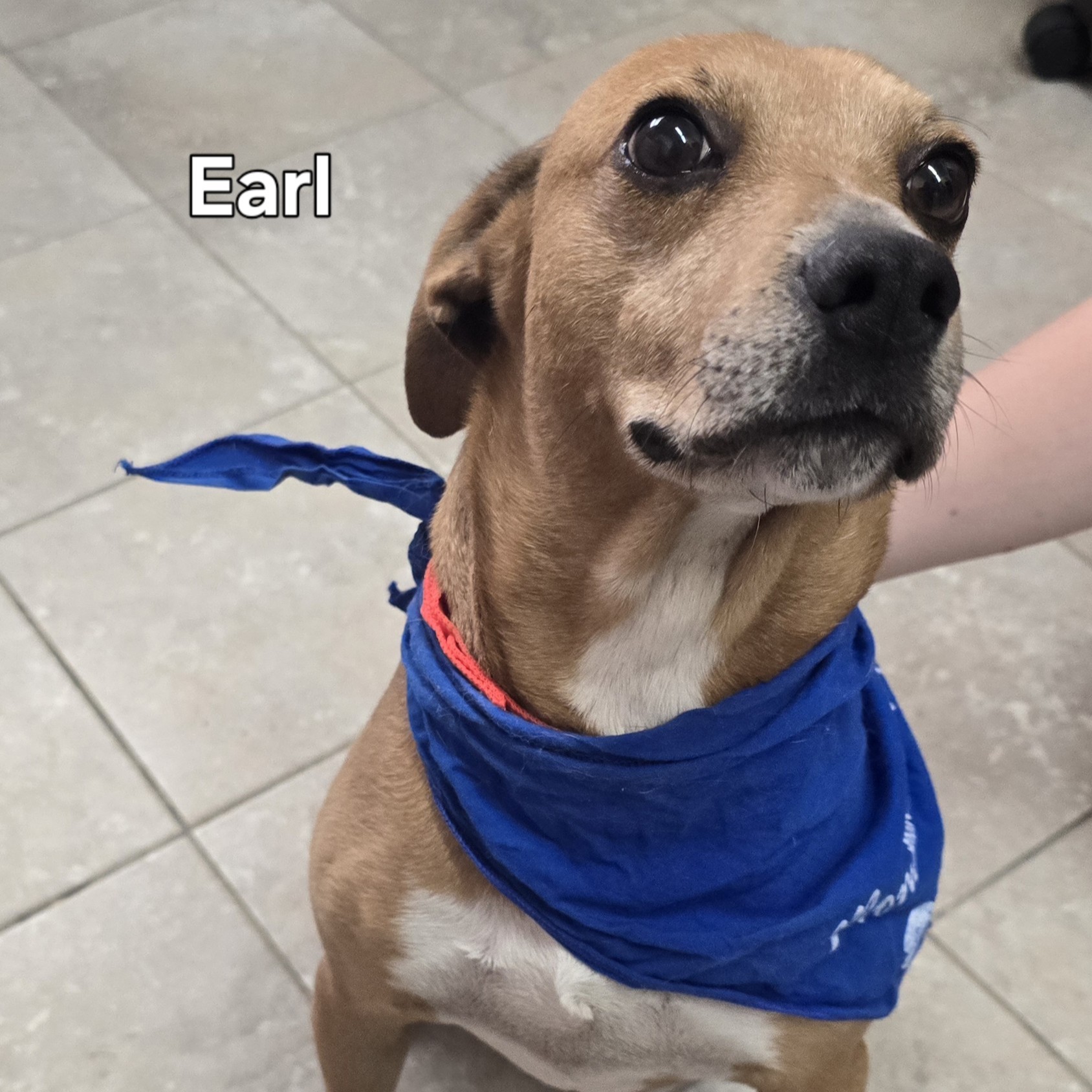 Earl