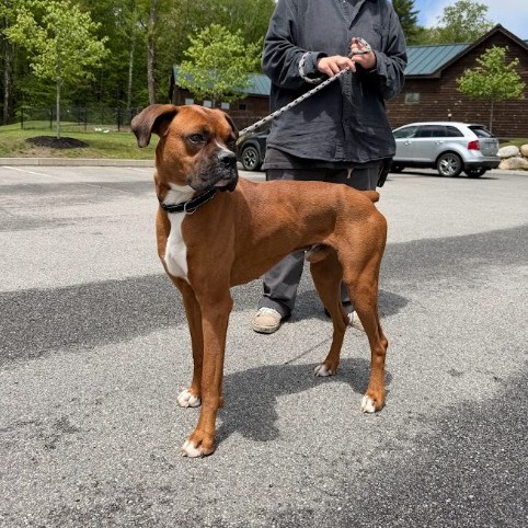 Milo