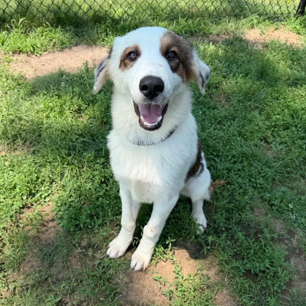 Chester