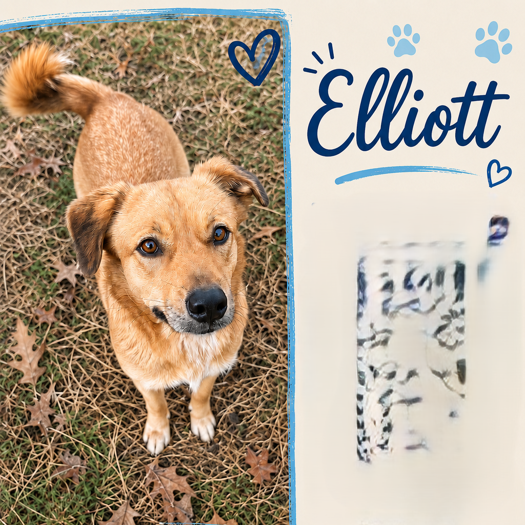 Elliott