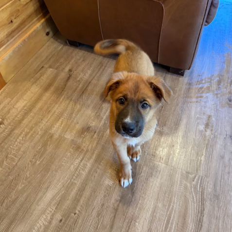 Tucker