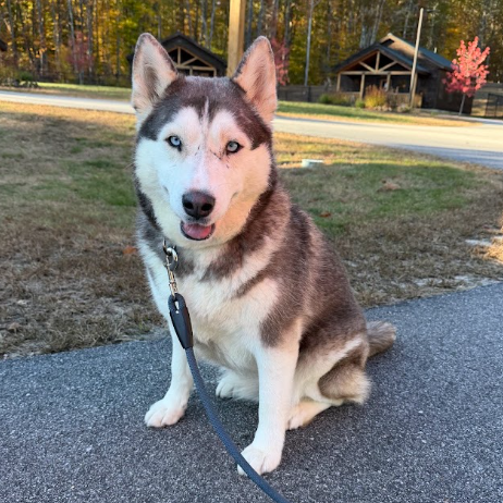 Chloe
