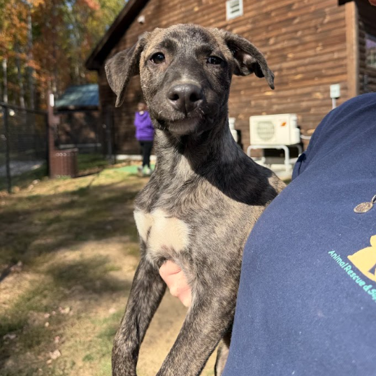 Georgia