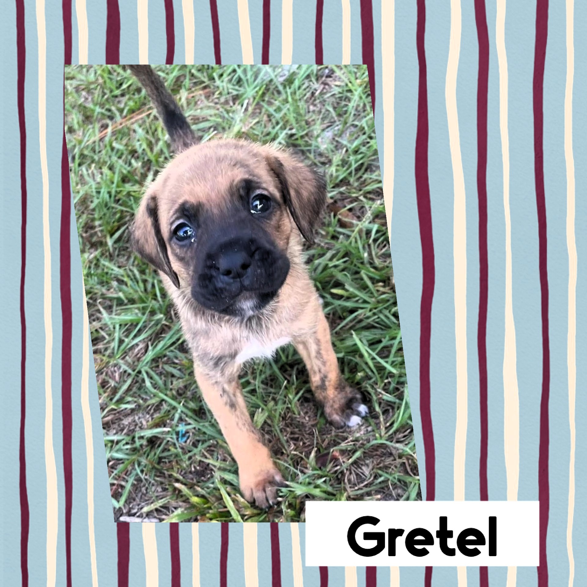 Gretel